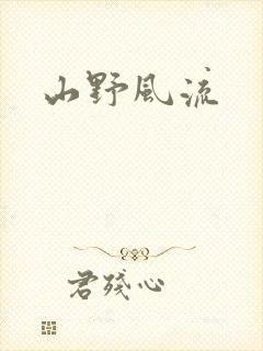 山野风流封面