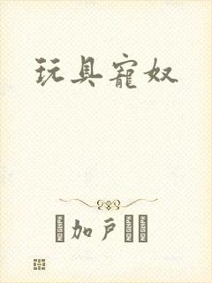 玩具宠奴