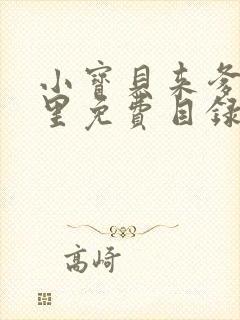 小宝贝来爹地怀里免费目录封面