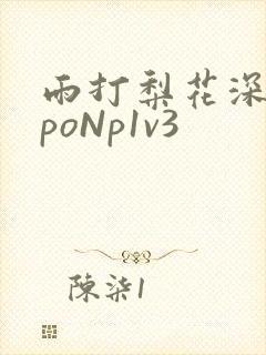 雨打梨花深闭门poNp1v3封面