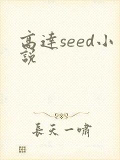 高达seed小说封面