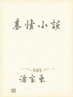 基情小说