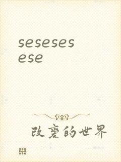 sesesesese封面