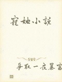 宠她小说