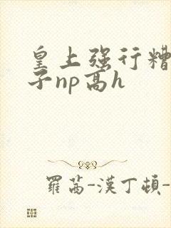 皇上强行糟蹋太子np高h封面
