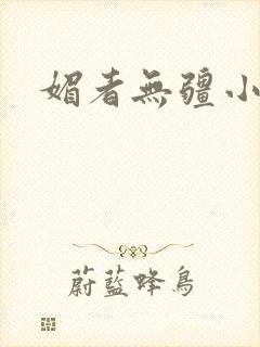 媚者无疆小说