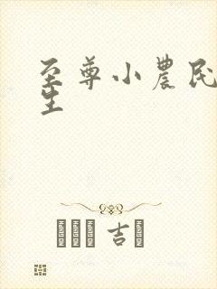 至尊小农民王木生封面