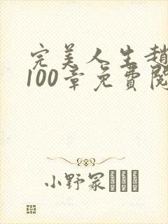 完美人生赵雅玉100章免费阅读封面