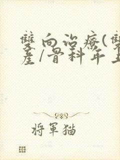 双向治疗(双/产/骨科年上)