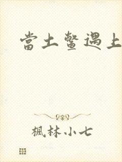 当土鳖遇上海龟