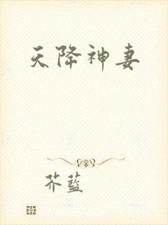 天降神妻
