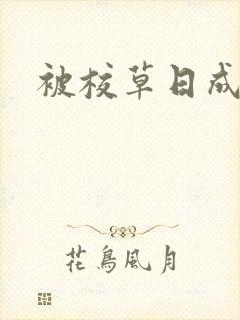 被校草日成母狗
