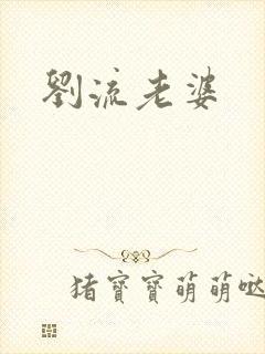 刘流老婆