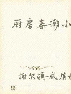 厨房春潮小说
