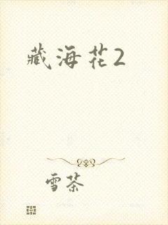 藏海花2封面
