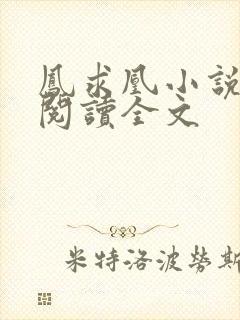 凤求凰小说免费阅读全文