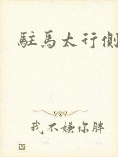 驻马太行侧