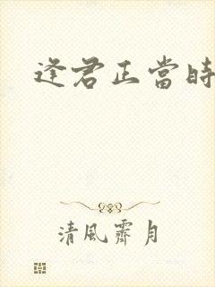 逢君正当时封面