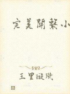 完美关系小说封面
