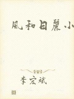 风和日丽小说