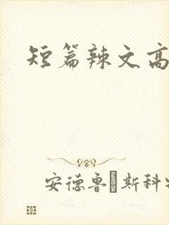 短篇辣文高h封面
