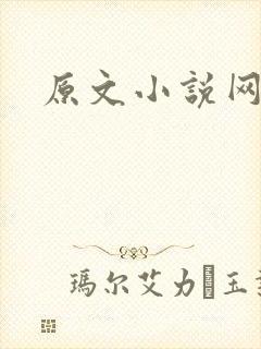 原文小说网