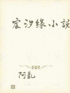 宸汐缘小说