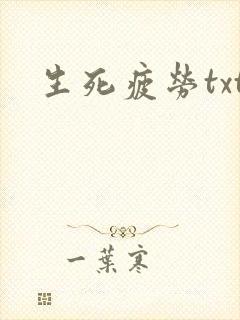 生死疲劳txt封面