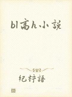 bl高h小说封面