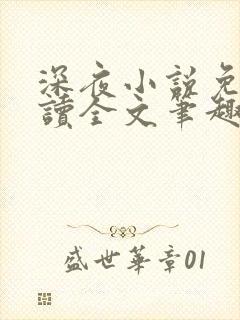 深夜小说免费阅读全文笔趣阁封面