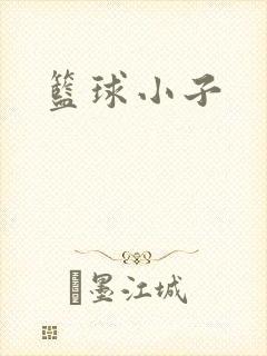 篮球小子