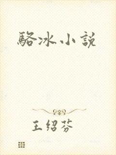 骆冰小说封面