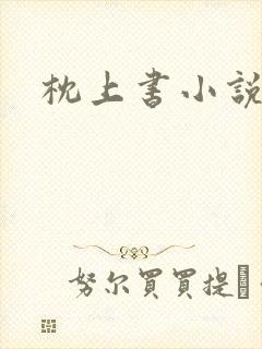 枕上书小说
