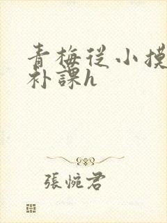 青梅从小摸到大补课h