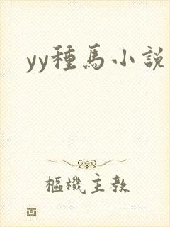 yy种马小说封面