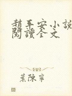 赵平安小说免费阅读全文封面
