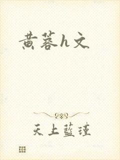 黄蓉h文封面