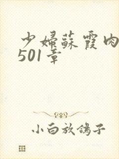 少妇苏霞肉欲第501章