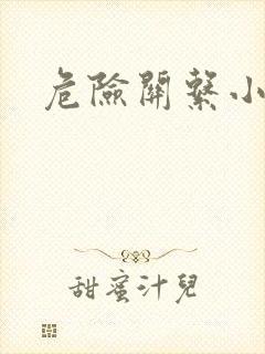 危险关系小说