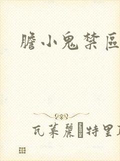 胆小鬼禁区