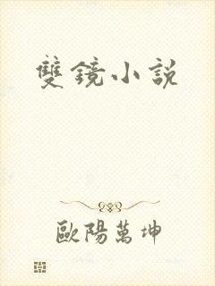 双镜小说