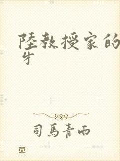 陆教授家的小月牙