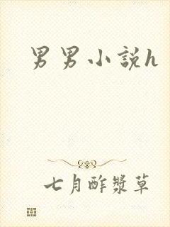 男男小说h