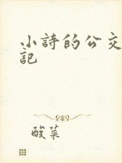 小诗的公交车日记