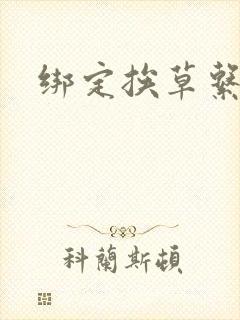 绑定挨草系统后封面