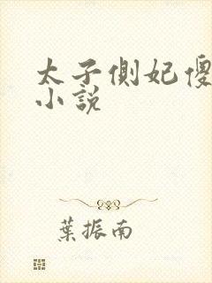 太子侧妃傻乎乎小说