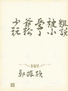少爷受被粗汉H玩松了小说