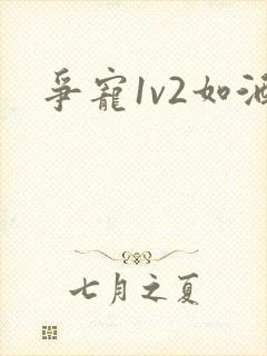 争宠1v2如酒封面