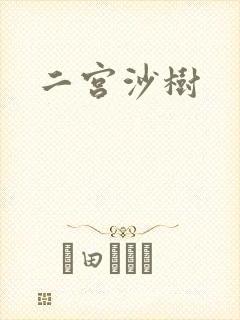 二宫沙树