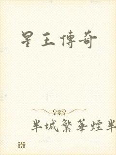 星王传奇